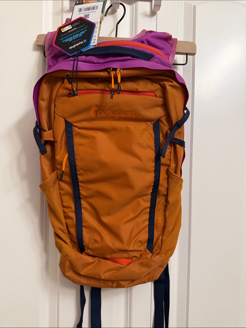 Women’s Cotopaxi Lagos 15L Hydration Pack, color Mezcal and Foxglove.